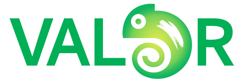 VALOR s.r.o. Logo